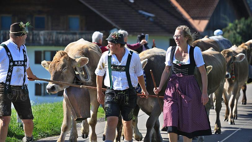Hirten führen beim Viehscheid in Memhölz ihre Tiere Richtung Tal.