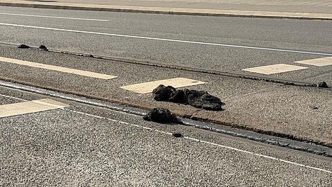 Wegen der Hitze wurde der Stra&szlig;enbetrieb tagelang in N&uuml;rnberg eingestellt. (Symbolbild)