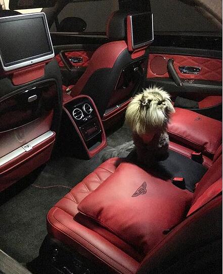 Luxuskarren, Waffen und viel, viel nackte Haut - diese drei Dinge bestimmen das Leben von Instagram-Playboy Dan Bilzerian.