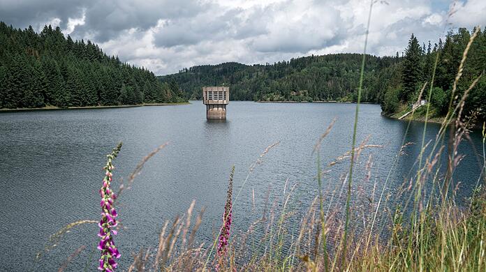 Trinkwassertalsperren können bei Bedarf aushelfen. (Archivbild) Trinkwassertalsperren können bei Bedarf aushelfen. (Archivbild)