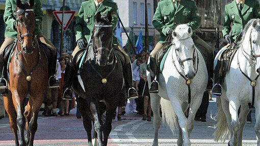 Eine Reiterstaffel der Münchner Polizei (Symbolbild) Eine Reiterstaffel der Münchner Polizei (Symbolbild)