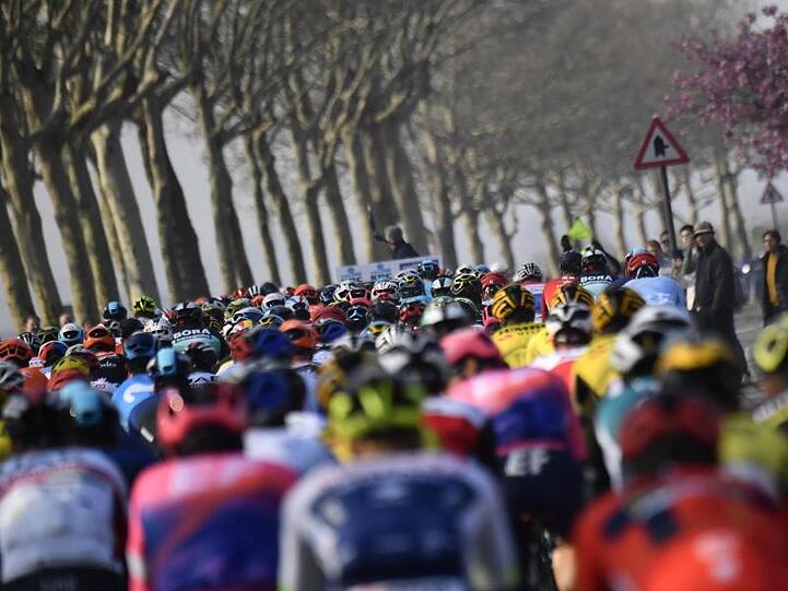 Das Peloton der Flandern-Rundfahrt.