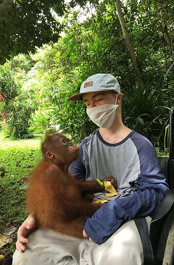 Benni Over will den Menschenaffen in Indonesien mit 100.000 Bäumen ihren Lebensraum zurückgeben.