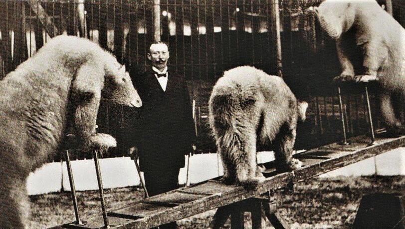 Eine Sensation, die die Massen begeisterte: Carl Krone mit seiner Eisbären-Nummer - tatsächlich wurden die exotischen Tiere noch bis in die 50er Jahre in deutschen Manegen gezeigt. Eine Sensation, die die Massen begeisterte: Carl Krone mit seiner Eisbären-Nummer - tatsächlich wurden die exotischen Tiere noch bis in die 50er Jahre in deutschen Manegen gezeigt.