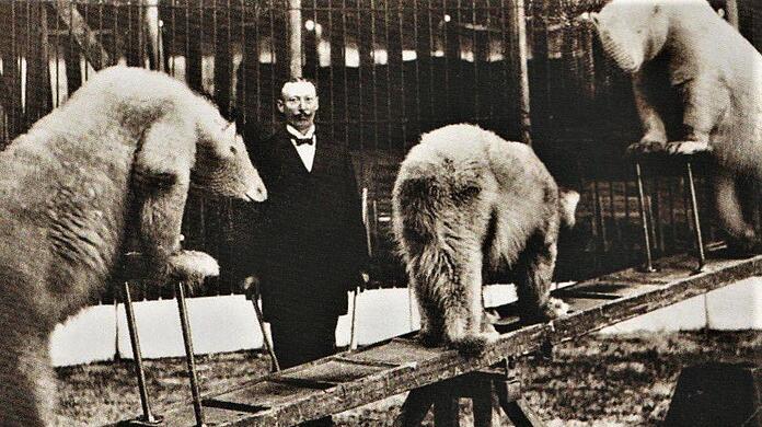 Eine Sensation, die die Massen begeisterte: Carl Krone mit seiner Eisbären-Nummer - tatsächlich wurden die exotischen Tiere noch bis in die 50er Jahre in deutschen Manegen gezeigt.
