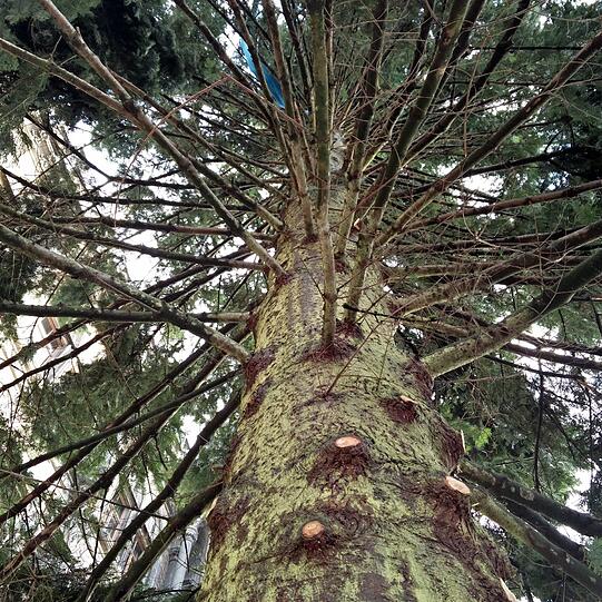 Der Blick von unten.