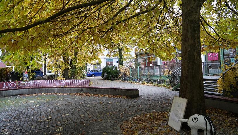 22 Bestandsbäume können erhalten werden, sagt die Stadt.