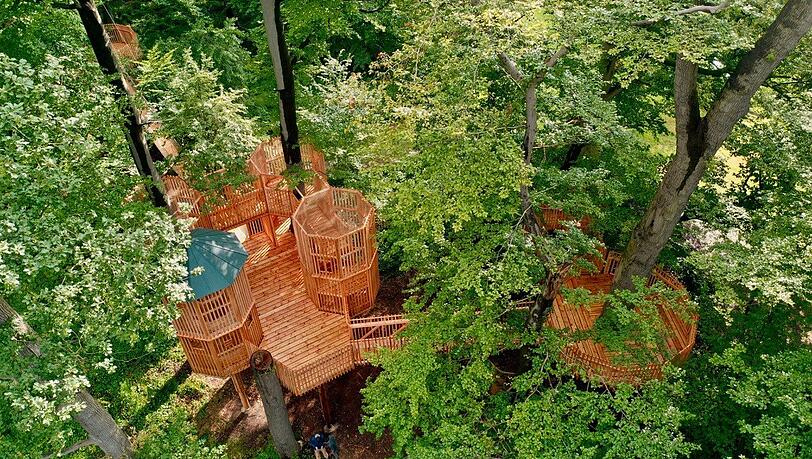 Das bisher größte und außergewöhnlichste Projekt der Firma Baumbaron: Ein Baumhauspark beim Schloss Moyland in Nordrhein-Westfalen. Das bisher größte und außergewöhnlichste Projekt der Firma Baumbaron: Ein Baumhauspark beim Schloss Moyland in Nordrhein-Westfalen.