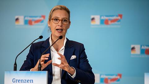 Fordert eine Reform der EU: Alice Weidel.