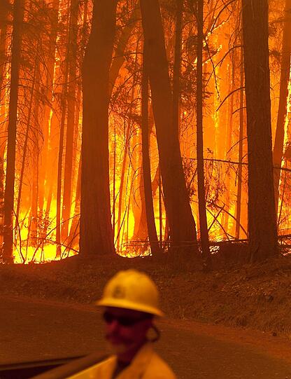 Die Waldbrände in der kalifornischen Sierra Nevada haben den Yosemite-Nationalpark erreicht. Die Bilder der Feuersbrunst!