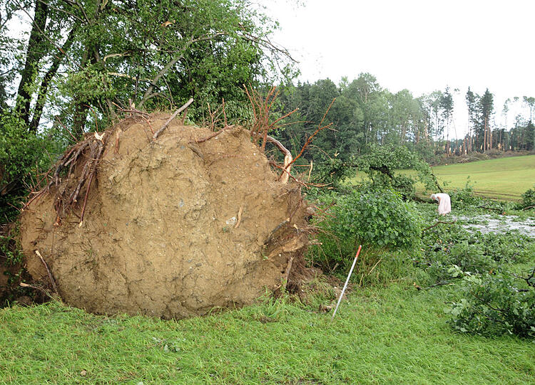 Hagel, Regen, umgeknickte Bäume, vollgelaufene Keller - Heftige Unwetter sind am Mittwochabend über Bayern gezogen. Die Bilder.