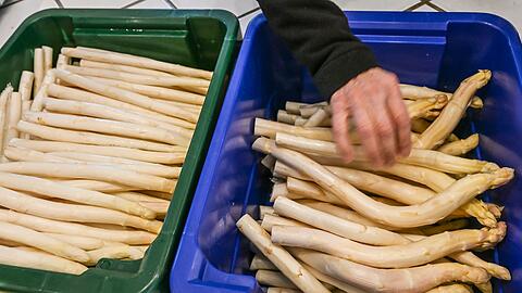 Derzeit bekommen Verbraucher Spargel so g&uuml;nstig wie sonst nicht in der Saison. (Archivbild)