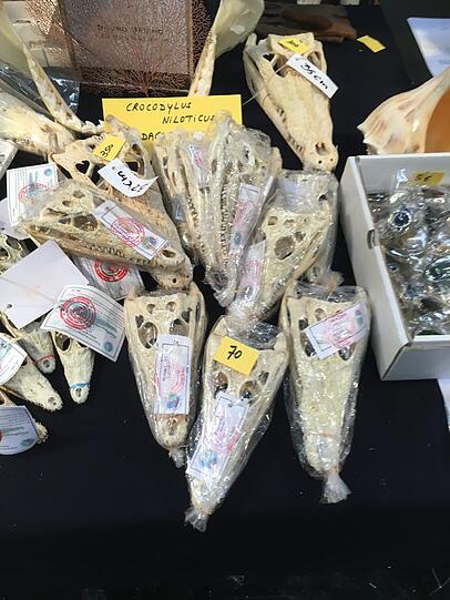 Mineralientage 2016 Mineralienmesse