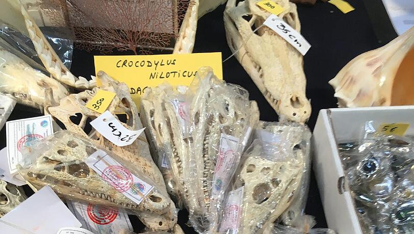 Mineralientage 2016 Mineralienmesse Mineralientage 2016 Mineralienmesse