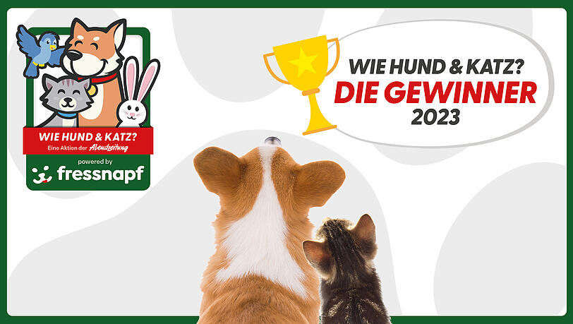 Wir haben Münchens schönste Tierfreundschaft gefunden!