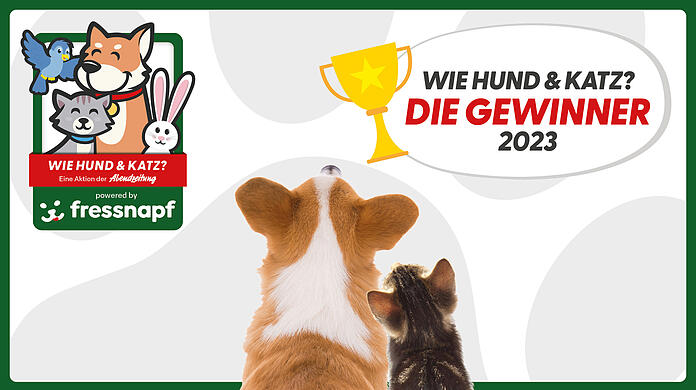 Wir haben Münchens schönste Tierfreundschaft gefunden!