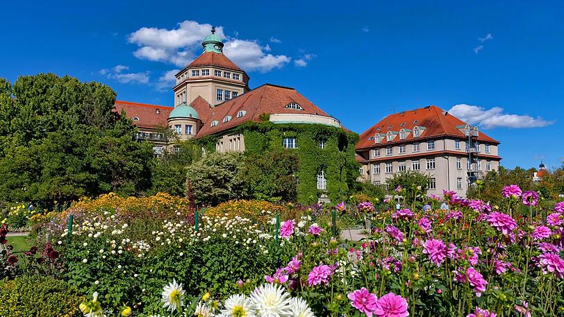 Blumen, Sonne und endlich wieder geöffnete Tore: Der Botanische Garten empfängt Besucher.