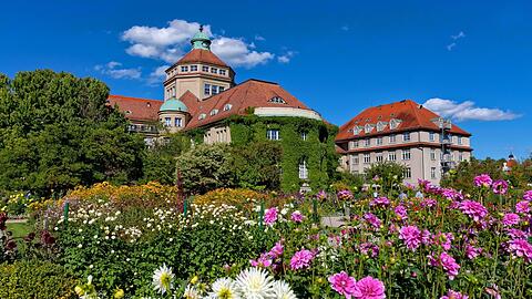 Blumen, Sonne und endlich wieder geöffnete Tore: Der Botanische Garten empfängt Besucher.