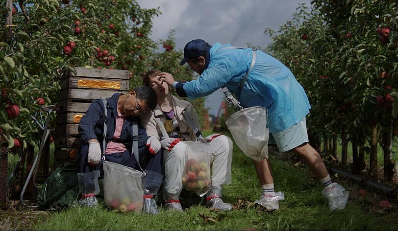 Die Arbeiter auf der Apfelplantage erscheinen bisweilen wie Figuren wie bei Fassbinder, wie Camille im Film feststellt.