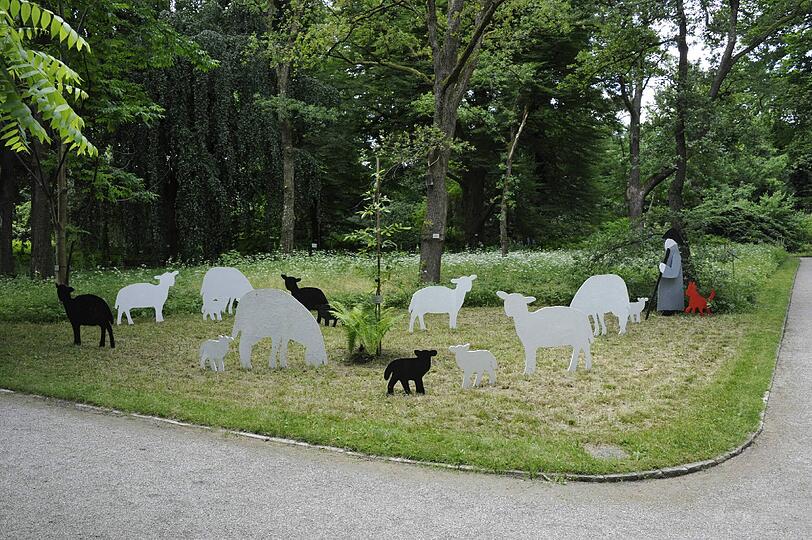 TRanshumanz im Botanischen Garten: Wo die Herde als nächstes hinzieht, ist noch ungewiss. Foto: BGM/Hoeck