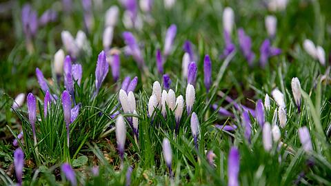 Tags&uuml;ber gibt es Regen und Sonne, nachts bleibt es im Freistaat frostig. (Symbolbild)