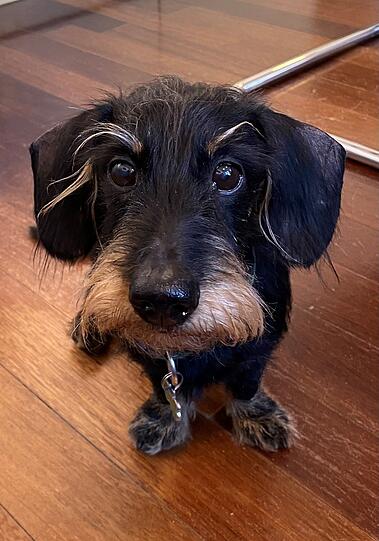 Arthur