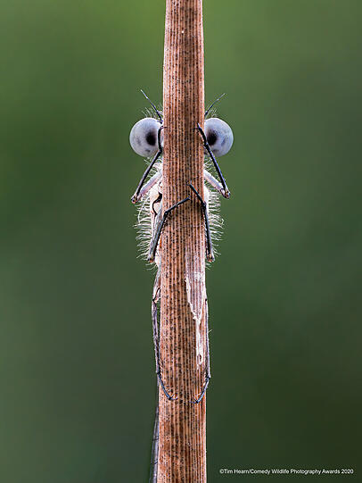 Hide and Seek
