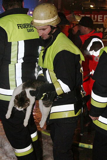 Brand in Gars im Landkreis Mühldorf am Inn: Kater "Samy" erleidet eine Rauchvergiftung. Die Feuerwehr rettet das leblose Tier aus einer brennenden Wohnung. Jetzt kümmert sich der Tierarzt um "Samy". Brand in Gars im Landkreis Mühldorf am Inn: Kater "Samy" erleidet eine Rauchvergiftung. Die Feuerwehr rettet das leblose Tier aus einer brennenden Wohnung. Jetzt kümmert sich der Tierarzt um "Samy".