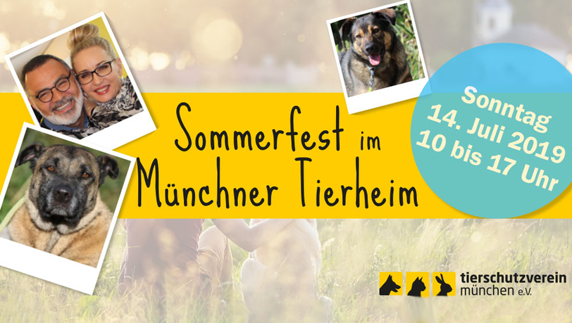 Das Münchner Tierheim feiert großes Sommerfest mit Flohmarkt, Tombola und Tiervermittlung. Das Münchner Tierheim feiert großes Sommerfest mit Flohmarkt, Tombola und Tiervermittlung.