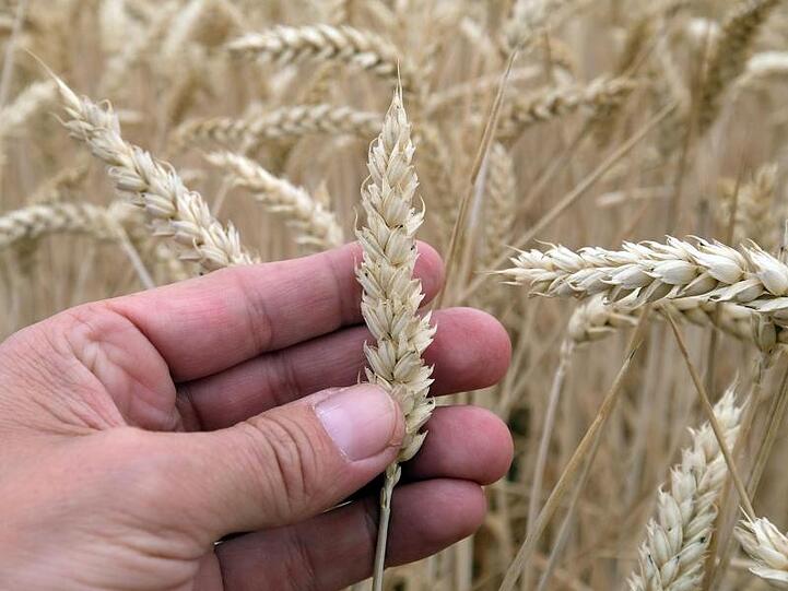 Die EU-Kommission hatte im vergangenen Jahr vorgeschlagen, die EU-Zahlungen an Landwirte zu reduzieren.