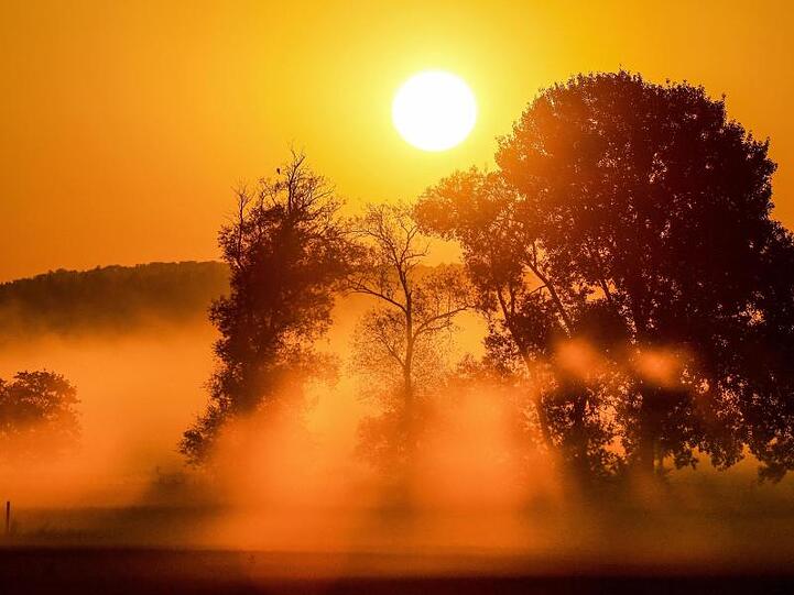 Bodennebel im Licht der aufgehenden Sonne in einem Naturschutzgebiet in Baden-Württemberg.