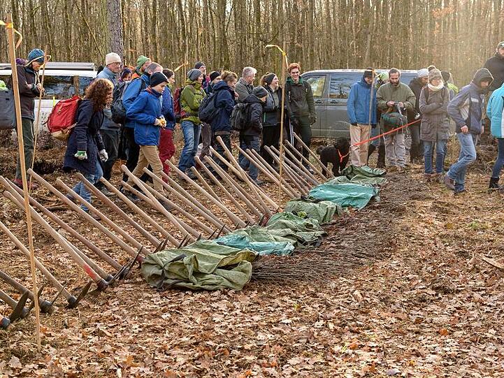 Freiwillige des Bergwaldprojektes forsten Wald auf. Foto: Matthäus Holleschovsky