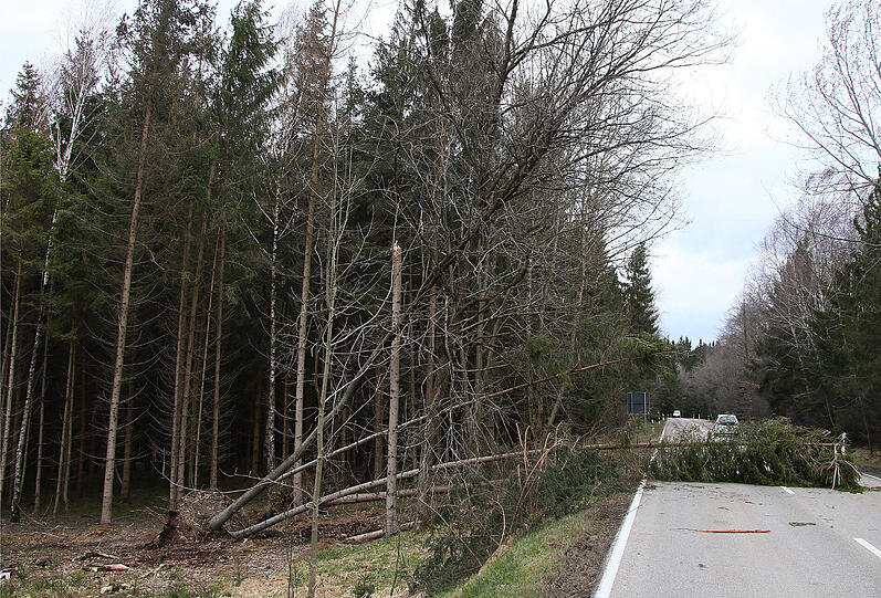 Bilder aus Bayern.