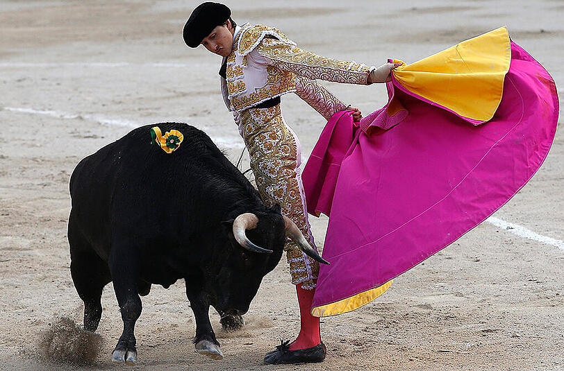 Hier hat der junge Torero noch alles unter Kontrolle: Der 533 Kilo schwere Bulle läuft ins Leere.