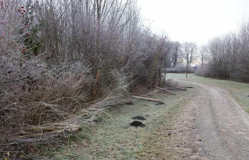 Die Einzäunung an der Langwieder Seenplatte verfällt.