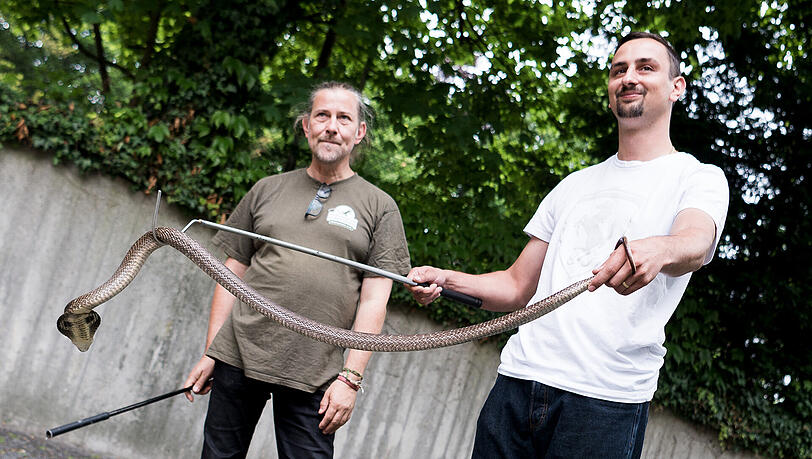 Stationsleiter Markus Baur (l) zeigt einem Bundeswehrsoldaten den Umgang mit einer Brillenschlange. Stationsleiter Markus Baur (l) zeigt einem Bundeswehrsoldaten den Umgang mit einer Brillenschlange.