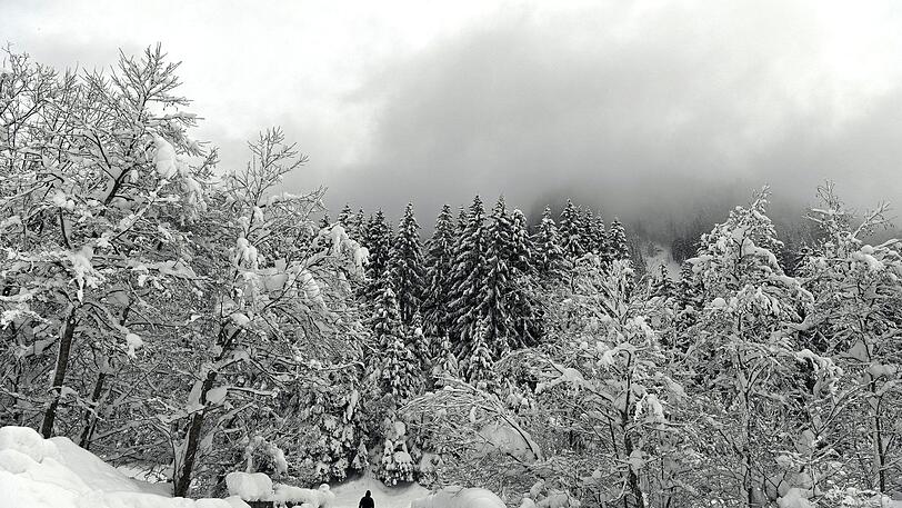 Drei Deutsche wurden bei einem Lawinenabgang in Österreich getötet (Symbolfoto).