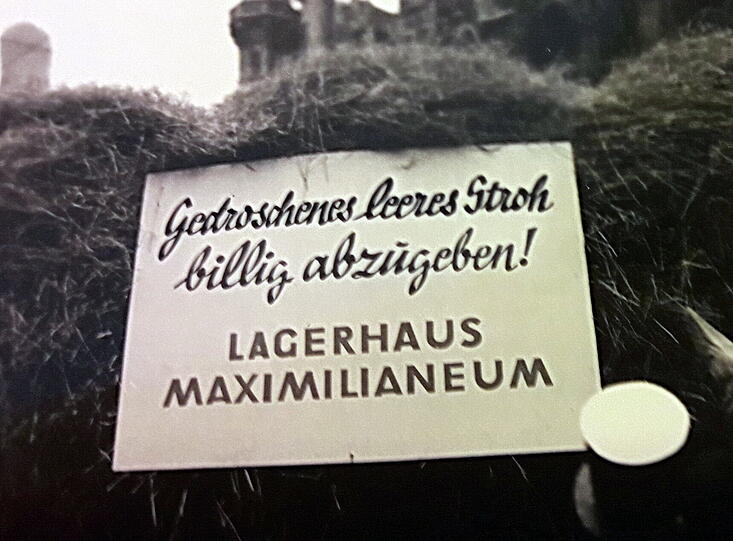 Faschingszug 1953: wenig subtile Kritik an der Landespolitik.