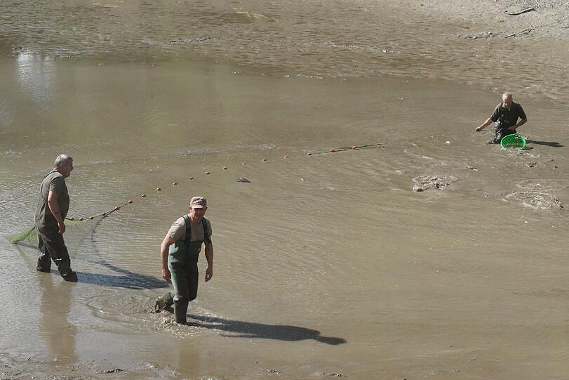 Bilder vom Badesee: Wo ist die Alligator-Schildkröte vom Oggenrieder Weiher?