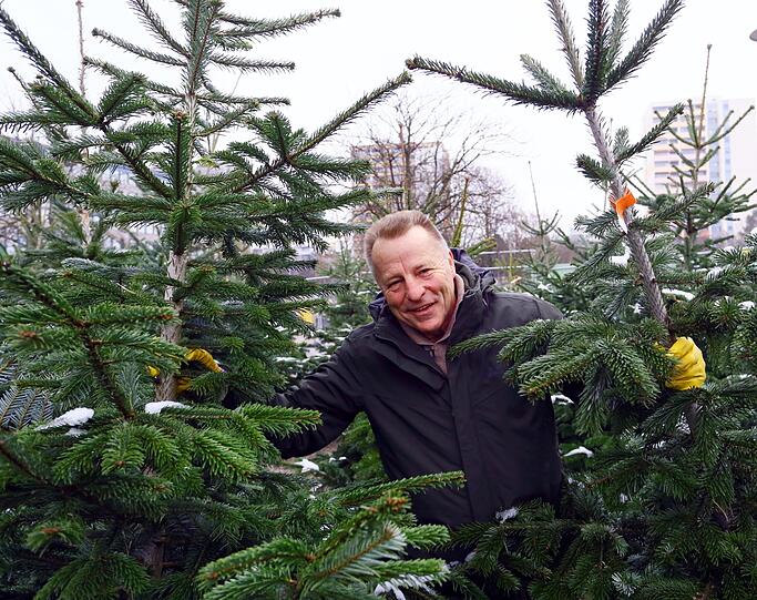 Rupi Bauer kennt sich aus mit Christbäumen &ndash; und berät seine Kunden gerne.