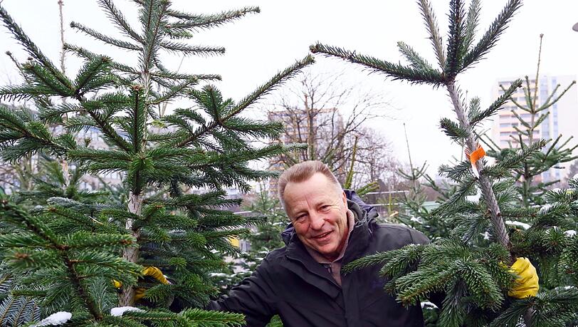 Rupi Bauer kennt sich aus mit Christbäumen – und berät seine Kunden gerne. Rupi Bauer kennt sich aus mit Christbäumen – und berät seine Kunden gerne.