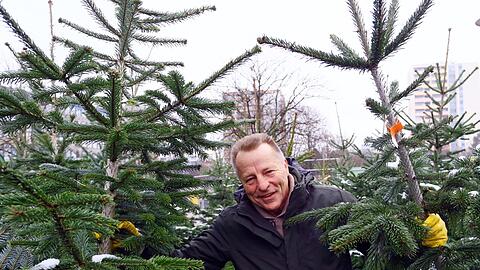 Rupi Bauer kennt sich aus mit Christbäumen &ndash; und berät seine Kunden gerne.