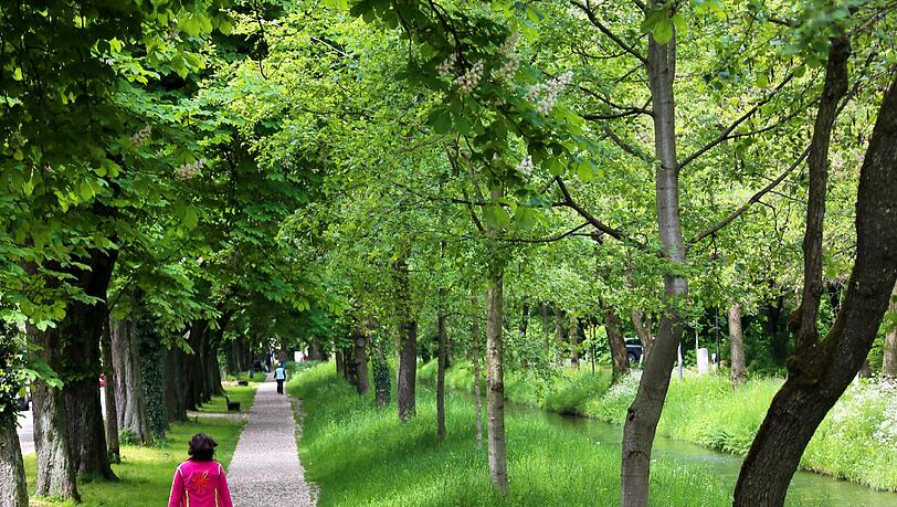 Seit 75. Jahren gehört Obermenzing zur Stadt München. Der Zwangseingemeindung wird am kommenden Sonntag gedacht. Seit 75. Jahren gehört Obermenzing zur Stadt München. Der Zwangseingemeindung wird am kommenden Sonntag gedacht.