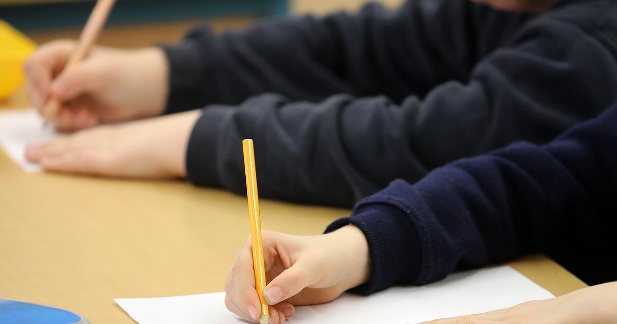 Mehr-Sch-ler-und-Lehrer-haben-Einwanderungsgeschichte