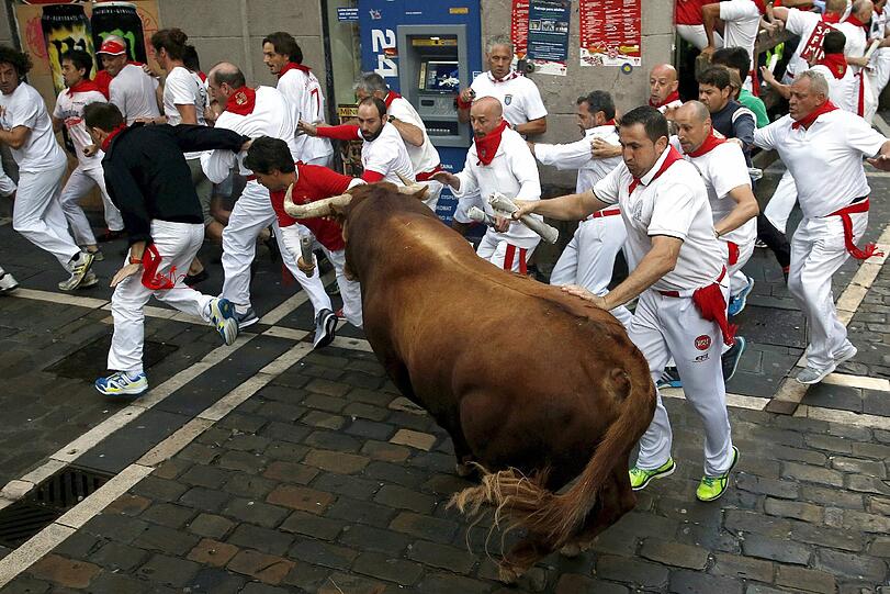 Die Teilnehmer versuchen, möglichst weit direkt neben einem Stier zu laufen.