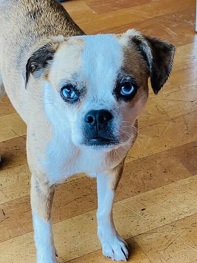 Coco