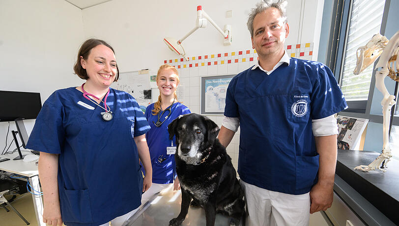 Nina Meyerhoff (l-r), Veterinärneurologin, Julia Haake, Doktorantin, und Holger Volk, Professor für Kleintierkrankheiten und Leiter der Klinik für Kleintiere der TiHo, untersuchen einen Hund an der Tierärztlichen Hochschule (TiHo) Hannover. (Archivbild)