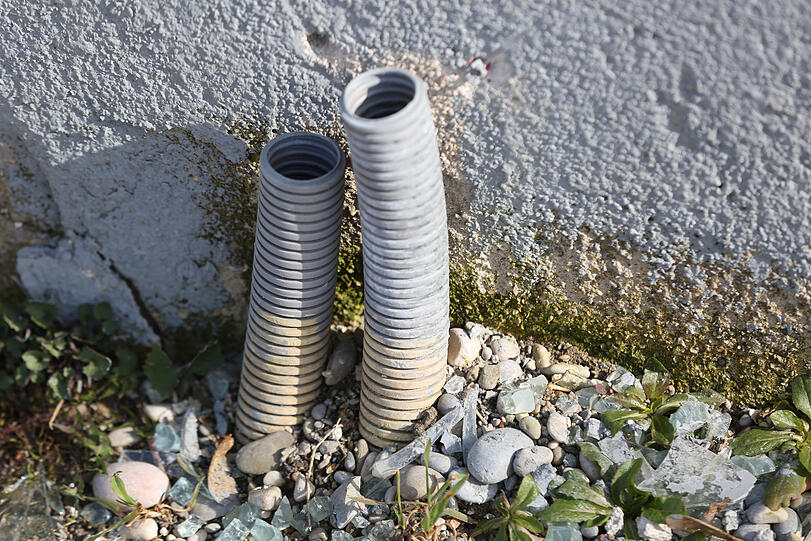 An der Hauswand kamen mal die Stromkabel heraus: abgeknipst.