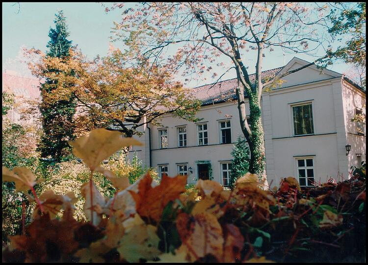 Der Blick auf das Anwesen von der Luisenstraße aus.