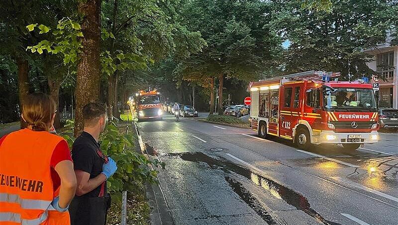 Mehrere Stunden hat die Feuerwehr Schlachtabfälle von der Straße entfernt. Mit Wasser wurden die letzten Reste weggespült.